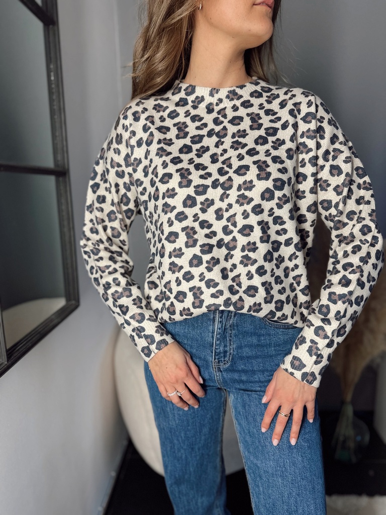 Pull Léo