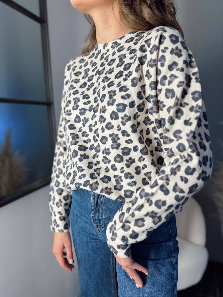 Pull Léo