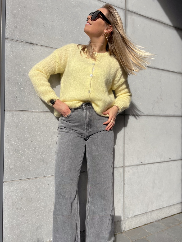 Pantalon Joly gris